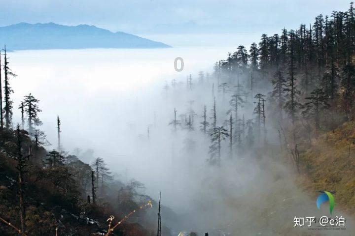 父母不同意我和女朋友结婚怎么办？