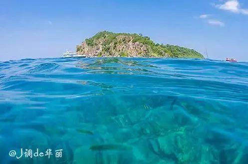 蓝狐视频
